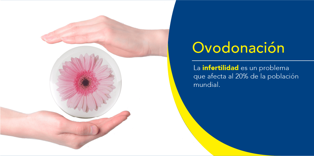 Lo que debes saber sobre la ovodonaci&oacute;n y donaci&oacute;n de esperma.