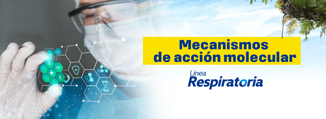 Mecanismos de acci&oacute;n molecular