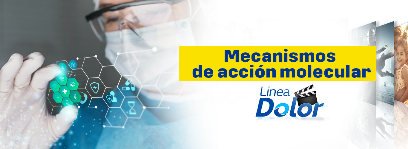 Mecanismos de acci&oacute;n molecular