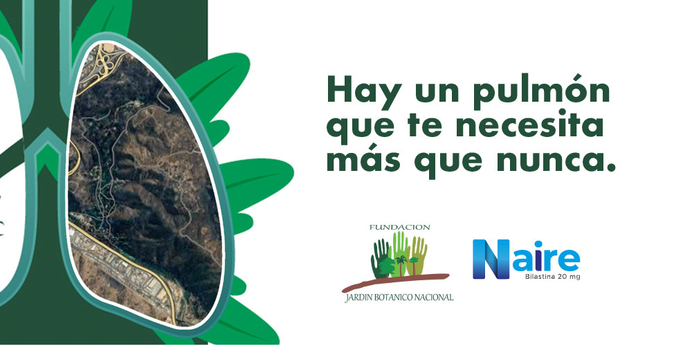 Sabemos lo importante que es para ti contribuir a que todos respiren mejor, te invitamos a ser parte de la recuperaci&oacute;n de este pulm&oacute;n natural.&nbsp;