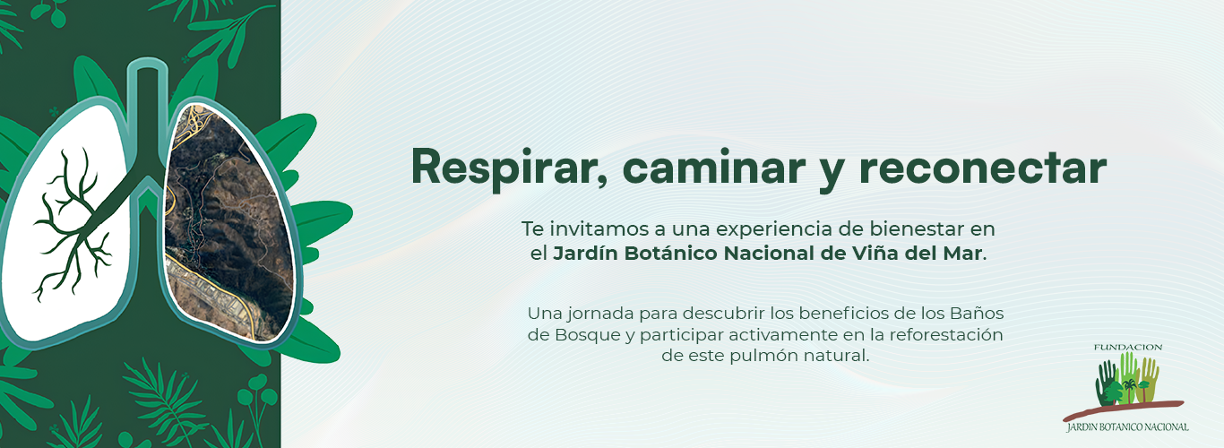 Sabemos lo importante que es para usted contribuir a que todos respiren mejor, te invitamos a ser parte de la recuperación de este pulmón natural. 