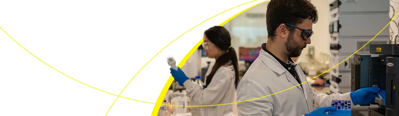 Investigaci&oacute;n y Desarrollo